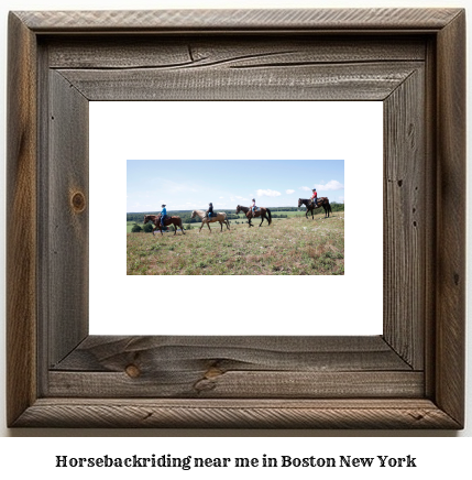 horseback riding near me in Boston, New York